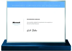 Microsoft Professional