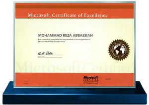 IT Professional